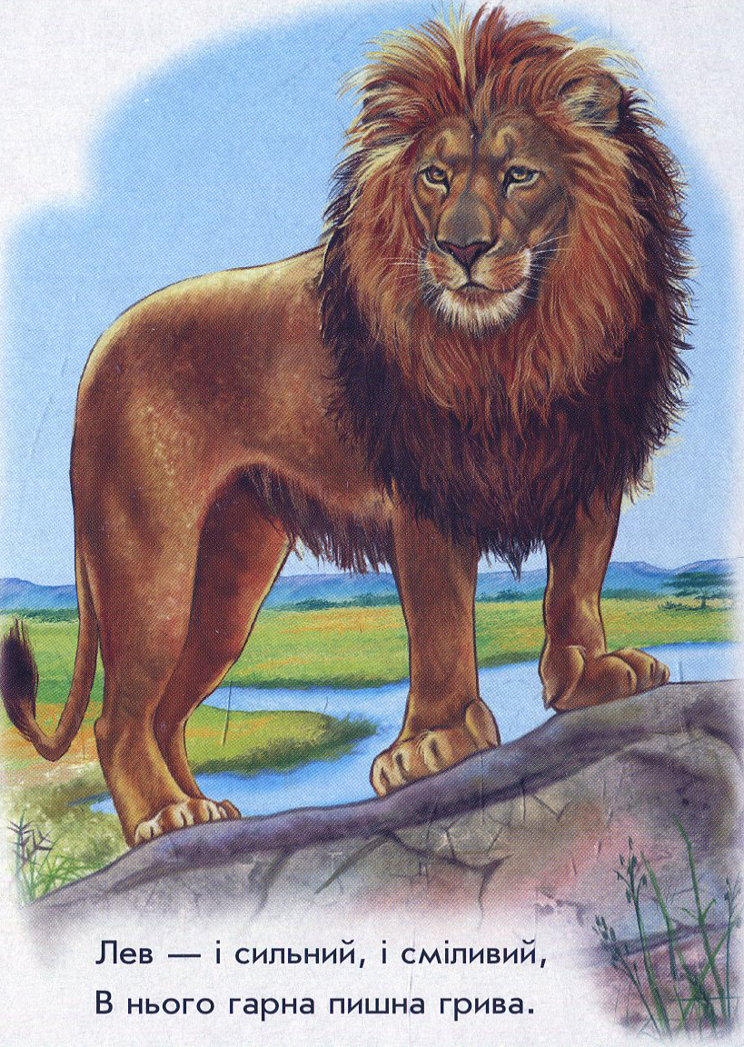 Стих про Льва. Животные Африки для детей. Стих про Льва для детей. Хищные животные жарких стран.