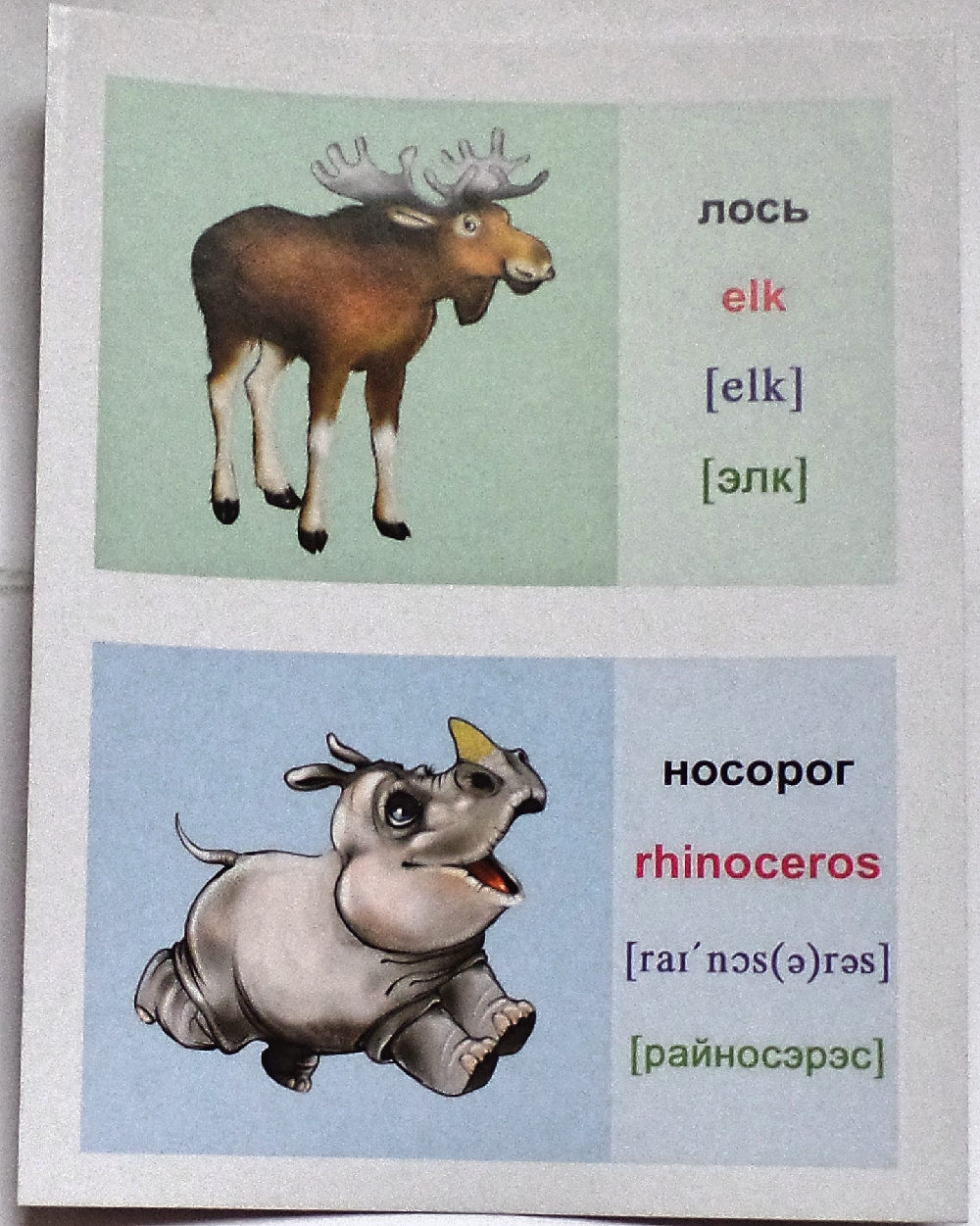 Лось прилагательное. Английский язык животные носорог. Карточка по английскому носорог. Карточки на английском животных с транскрипцией. Карточки с английскими словами для детей Бегемот.
