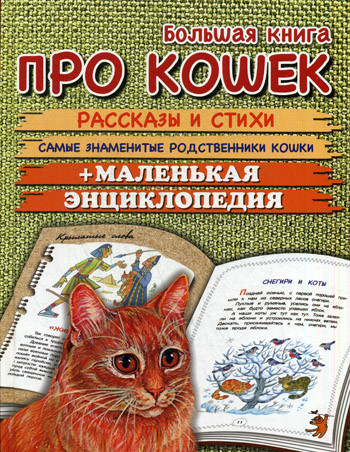 Картинки стихи про кошек