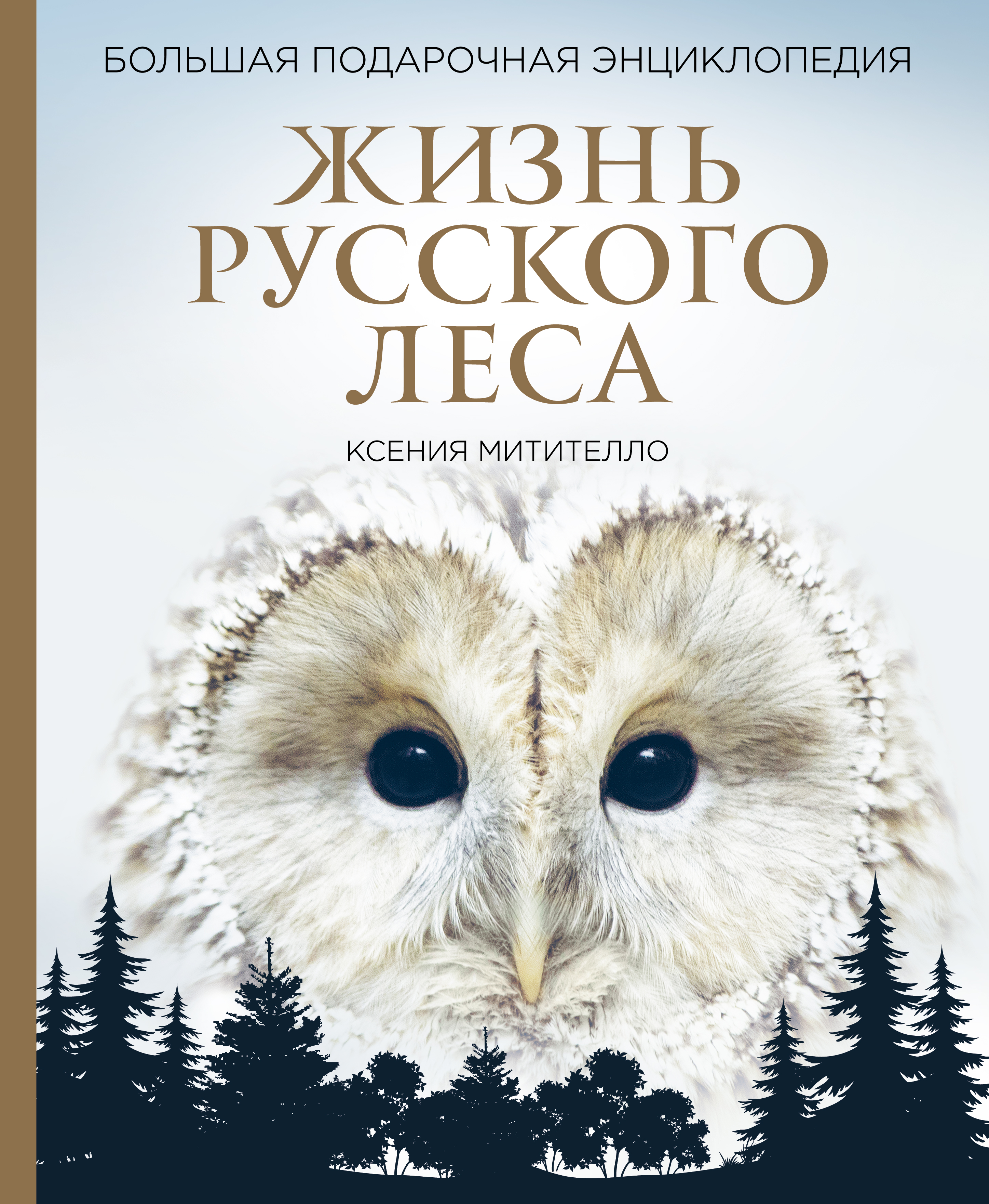 Энциклопедия жизни. Жизнь русского леса Митителло. Сова с книгой. Книга жизнь русского леса. Энциклопедия про сов.