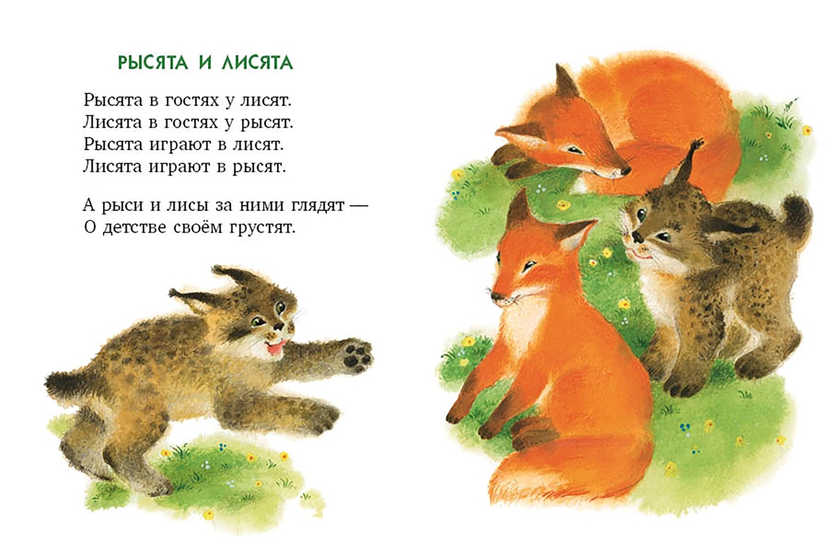 Стихи про диких. Скороговорки про лесных животных. Детские стихи про животных. Стишок про лисичку для малышей. Скороговорки про живот.
