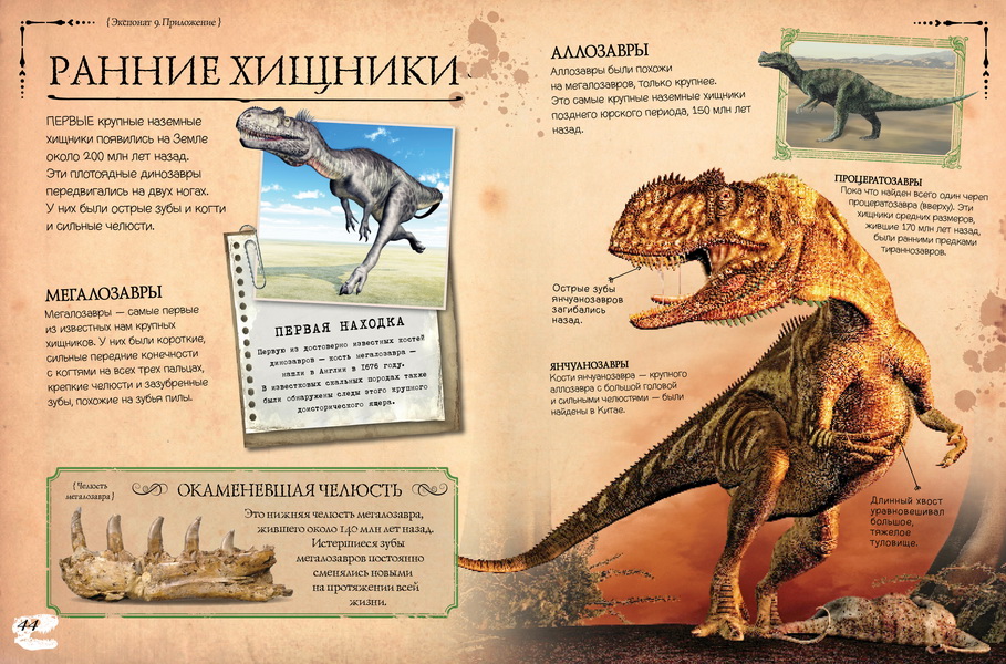 Динозавры сборник. Коллекция костей. Динозавры и другие доисторические животные. Коллекция костей динозавров. Книга динозавры и другие доисторические животные. Древние животные книга.