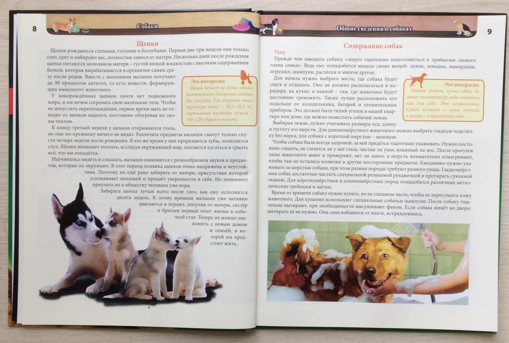 Сколько страниц в книге собачье. Энциклопедия о собаках. Энциклопедия собаки книга. Книга породы собак. Книги о собаках для детей.