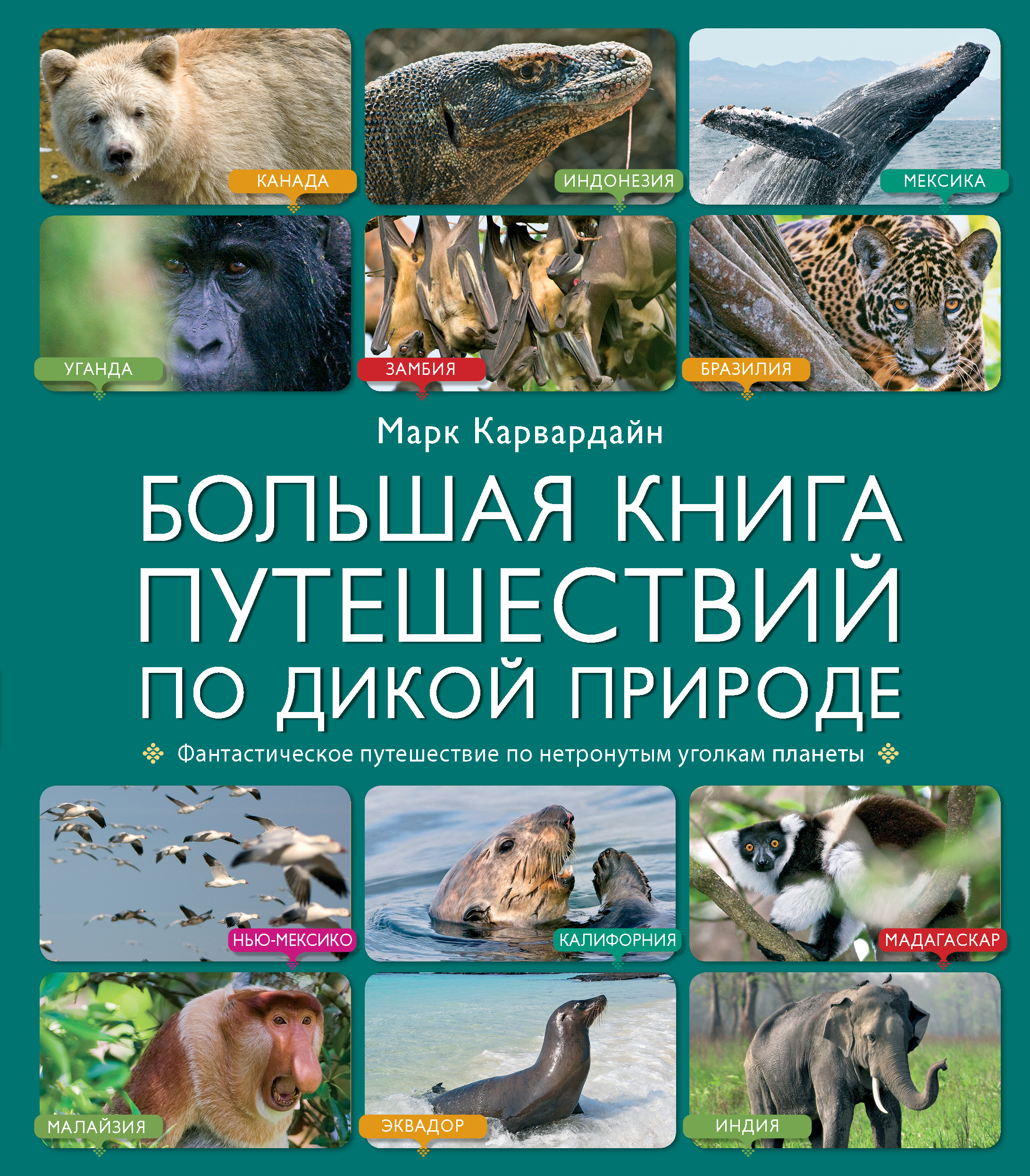 Книга путешествий читать. Книга природа. Книги о дикой природе. Книги о природе и животных. Книги о дикой природе и животных.