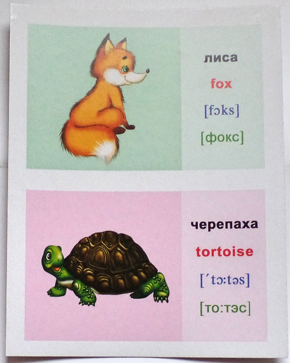 Как будет черепаха на английском. Карточки с английскими словами животные. Карточка по английскому черепаха. Черепашка на английском. Животные на английском языке.