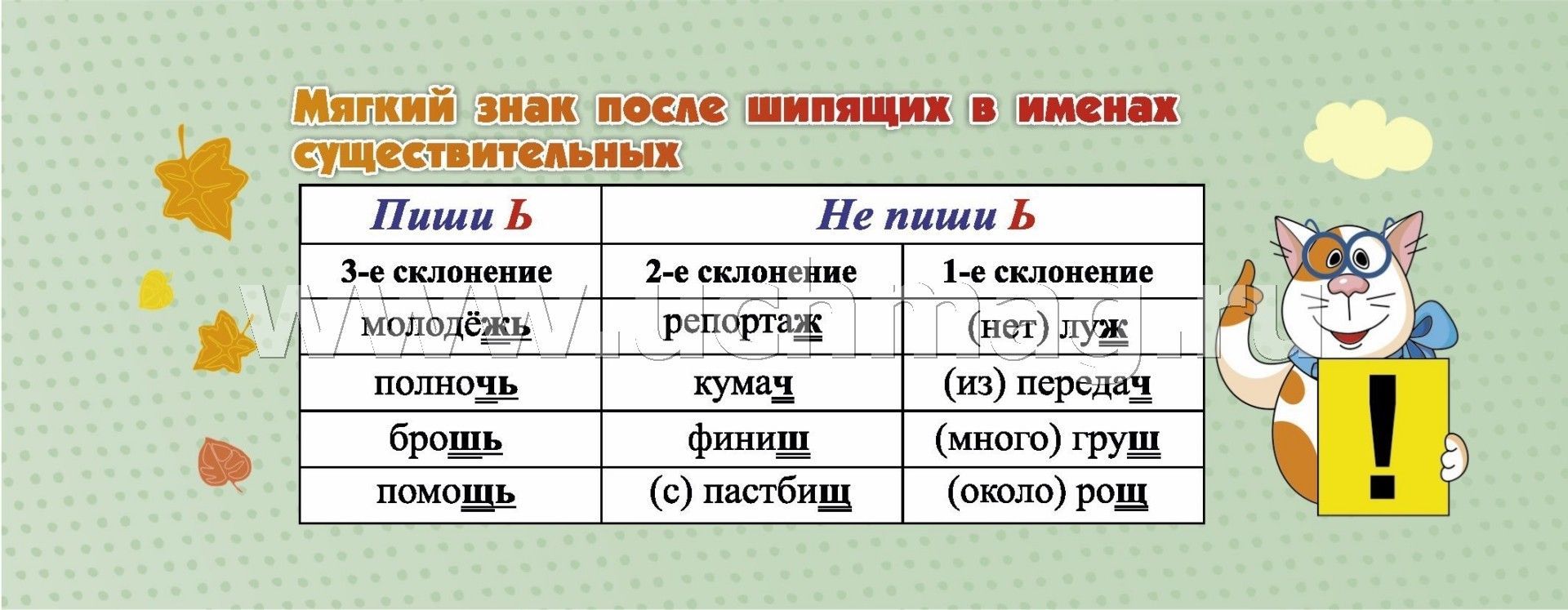 Мягкий знак в существительных