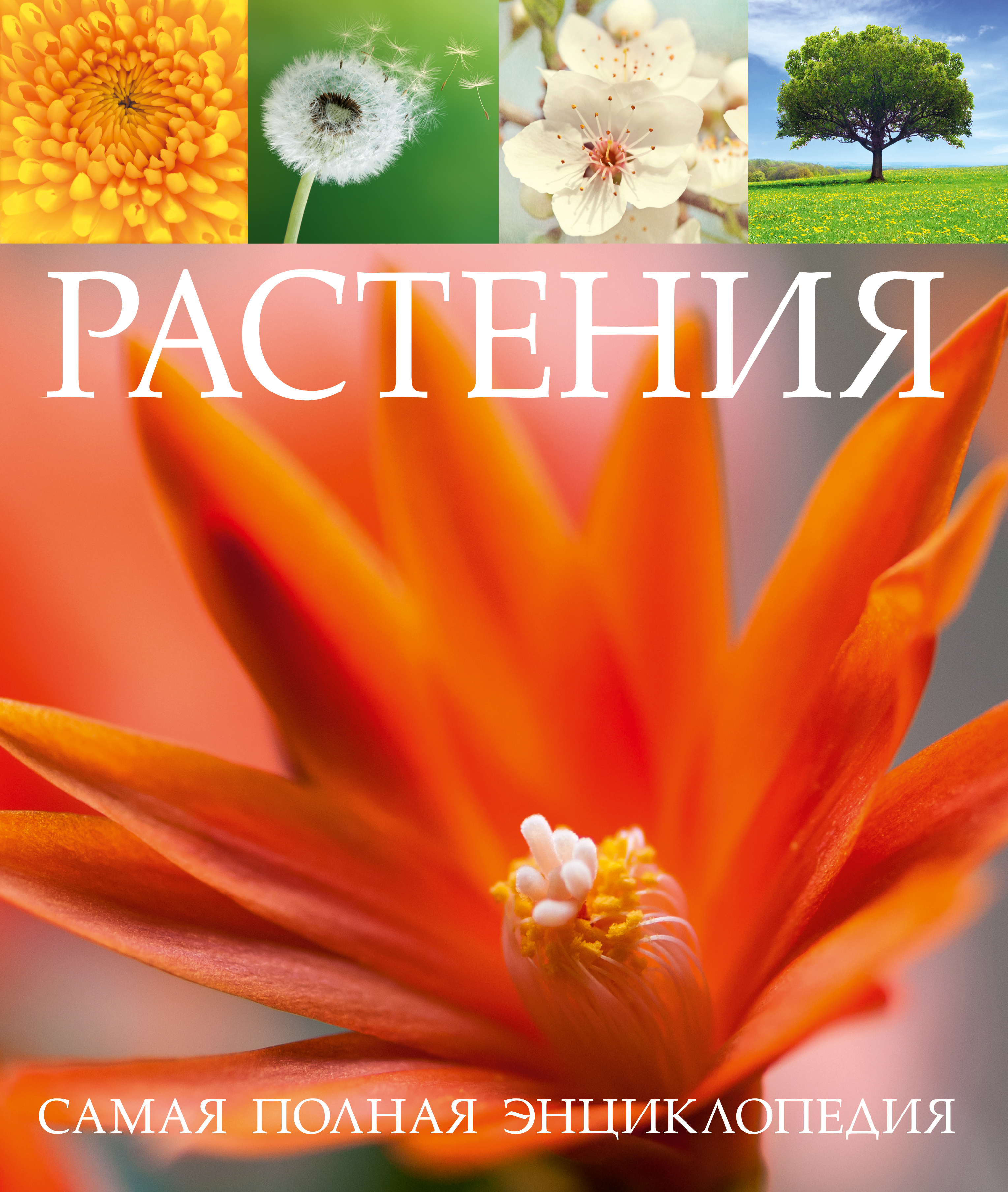 Энциклопедия цветов. Самая полная энциклопедия растений. Самая полная энциклопедия. Самые самые растения, книга. Самая первая энциклопедия. Цветы.