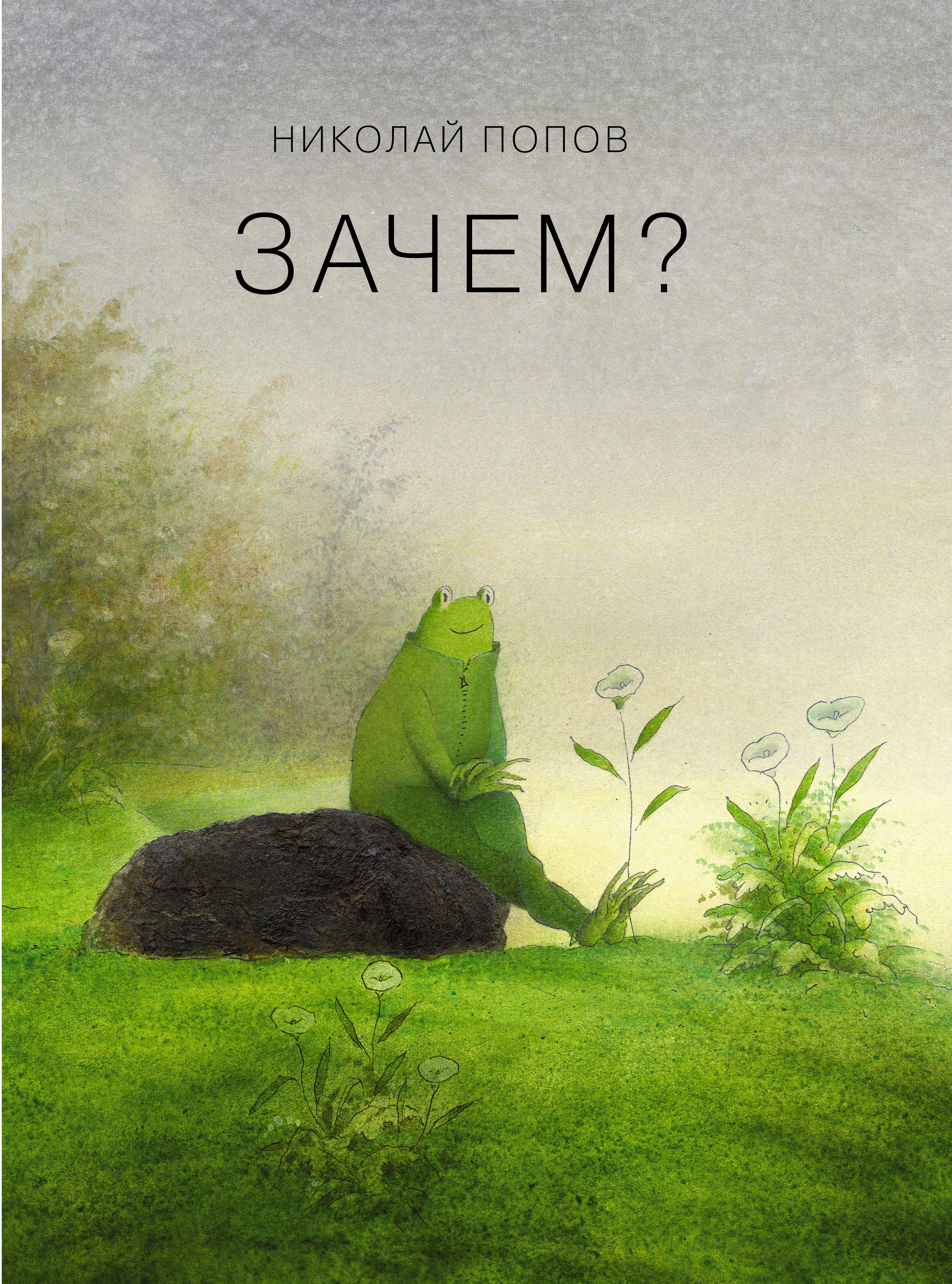 Книга зачем. Николай Попов художник. Николай Попов иллюстратор. Николай Попов книги. Николай Попов зачем.