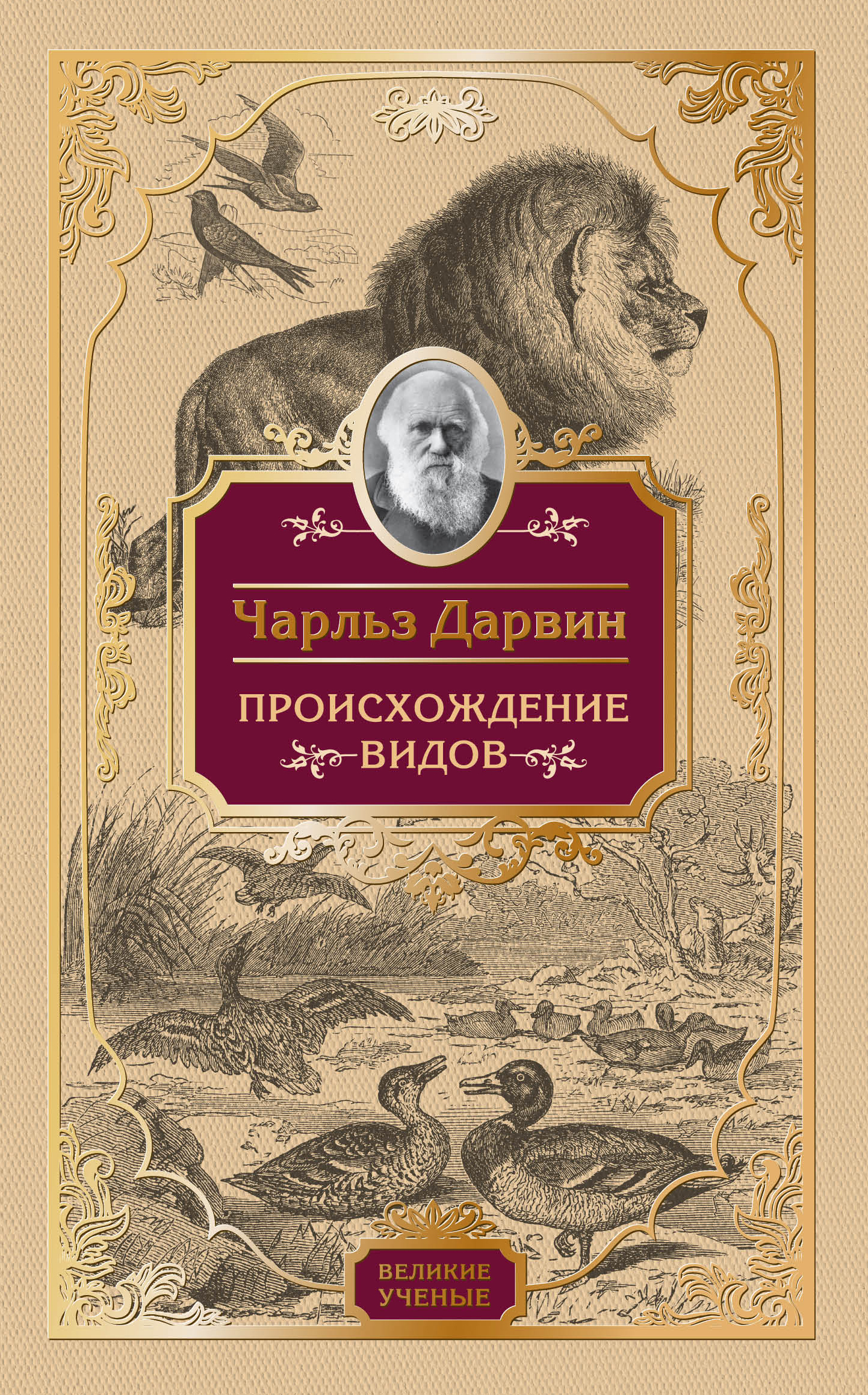 Дарвин книги. Происхождение видов Чарльз Дарвин. Происхождение видов Чарльз Дарвин книга. Происхождение видов путем естественного отбора Чарльз Дарвин. Происхождение видов путем естественного отбора книга.