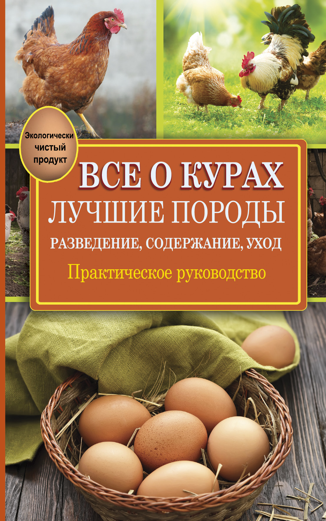 Куры книги. Книги о курах. Курица с книгой. Птицеводство книга. Энциклопедия про курей.