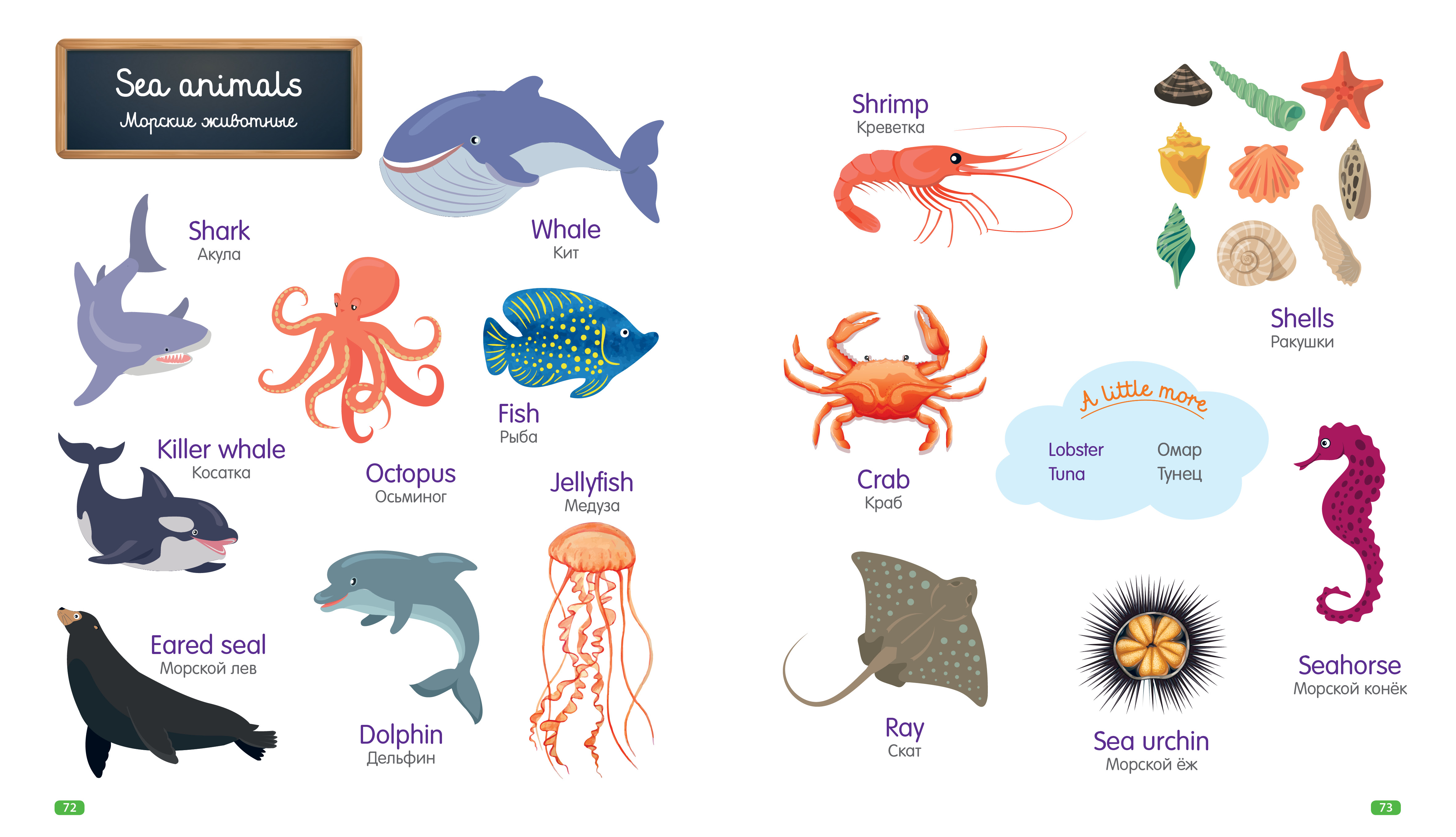 Найти слова скат. Морские обитатели на английском языке для детей. Названия морских обитателей на английском. Морские животные на англ яз. Название рыб на английском для детей.