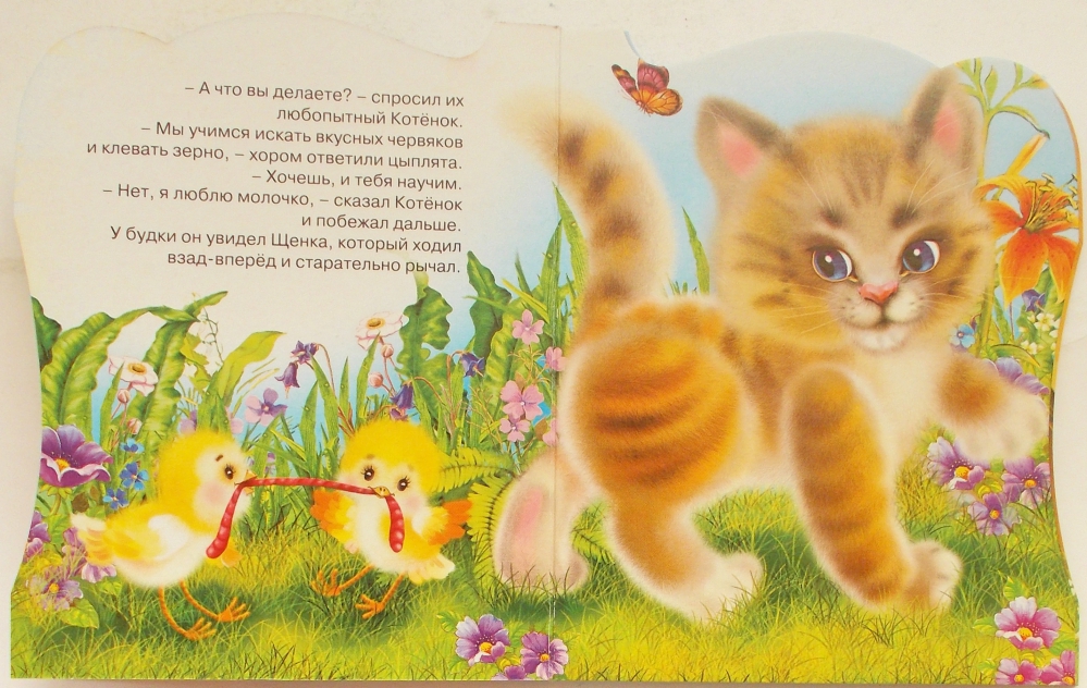 Котик сказка читать. Сказка про котенка. Сказка про котят для детей. Короткая сказка про котенка для детей. Любопытный котенок сказка.