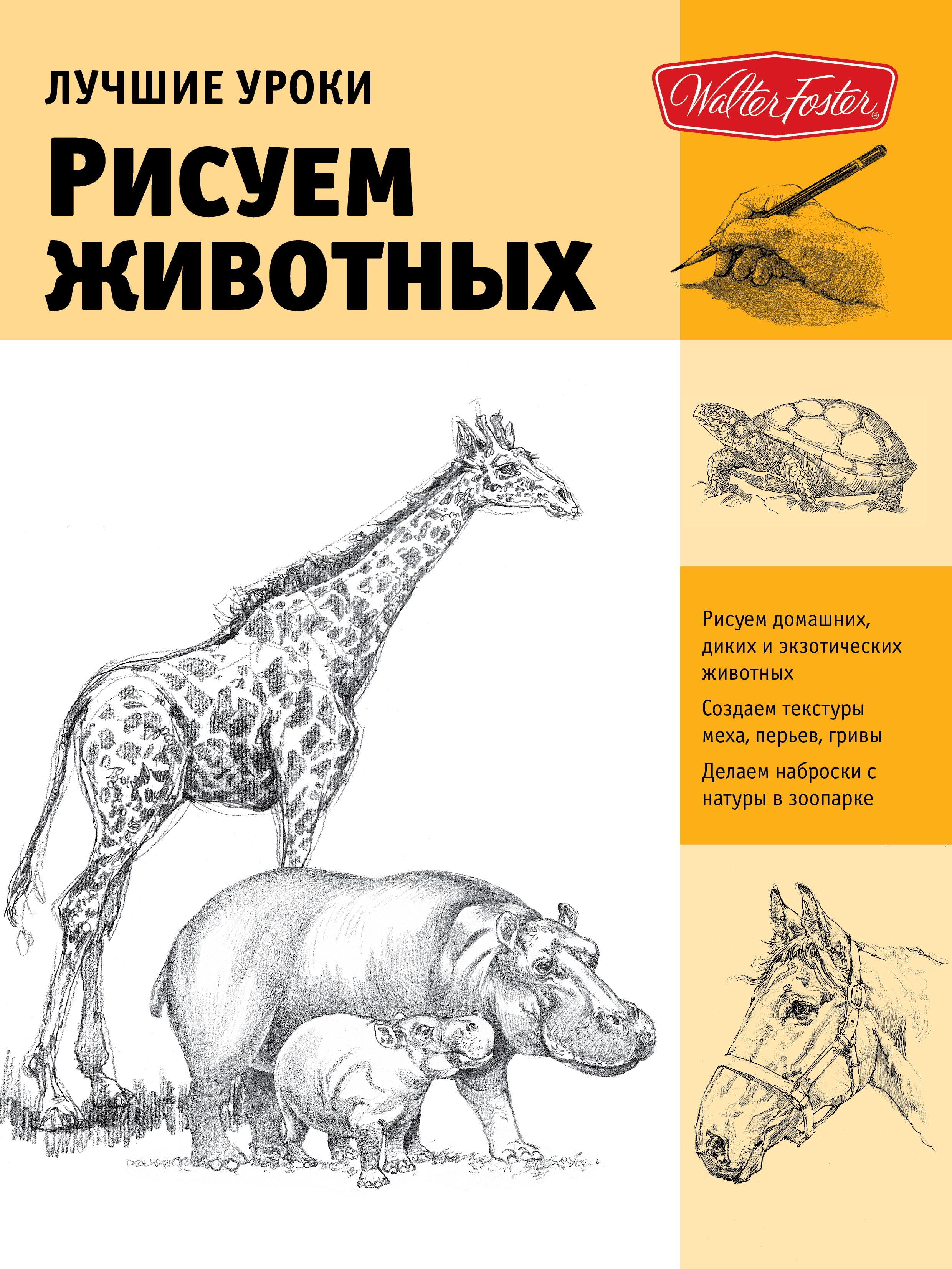 Книга как рисовать животных