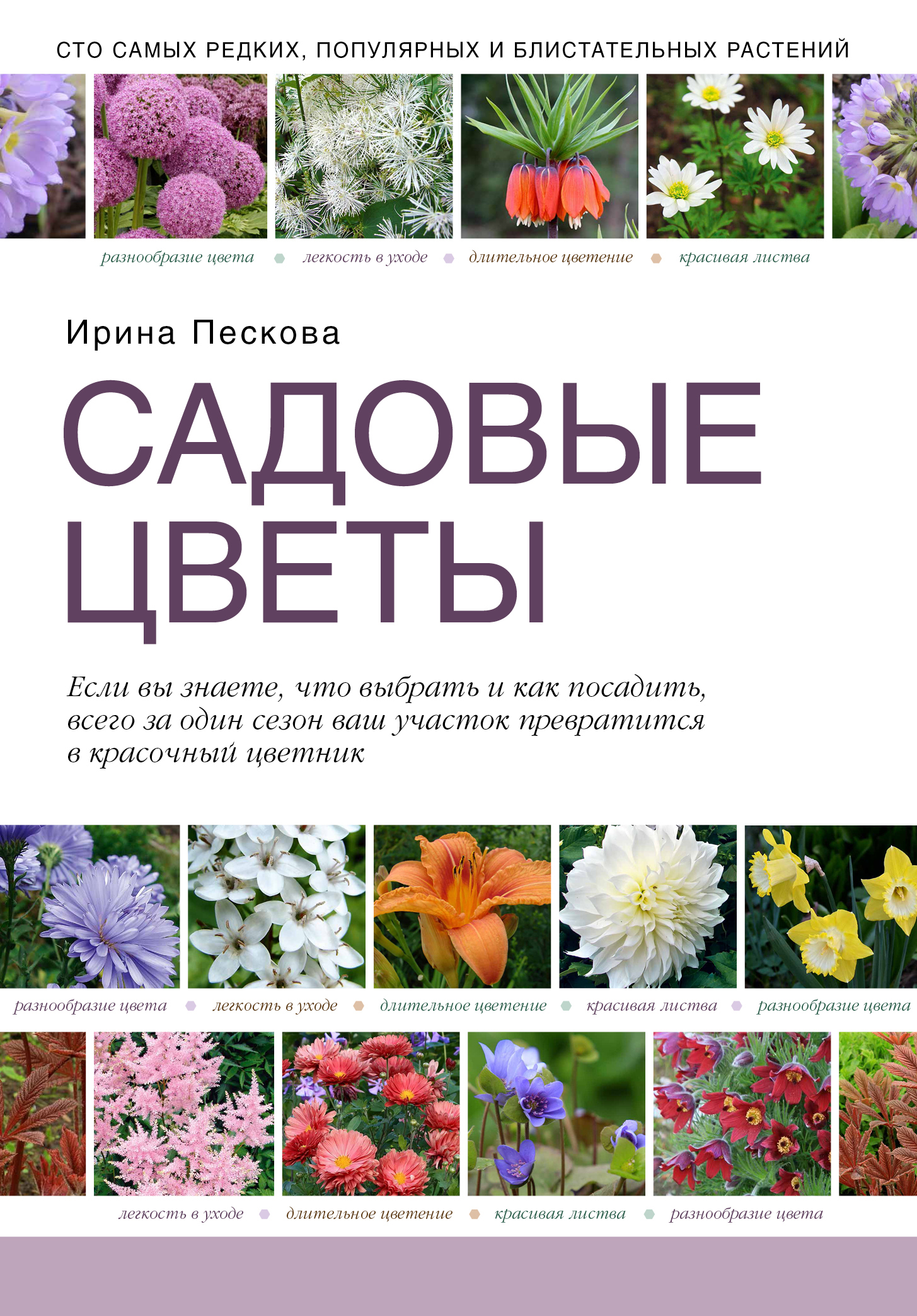 название садовых цветов с фотографиями по алфавиту