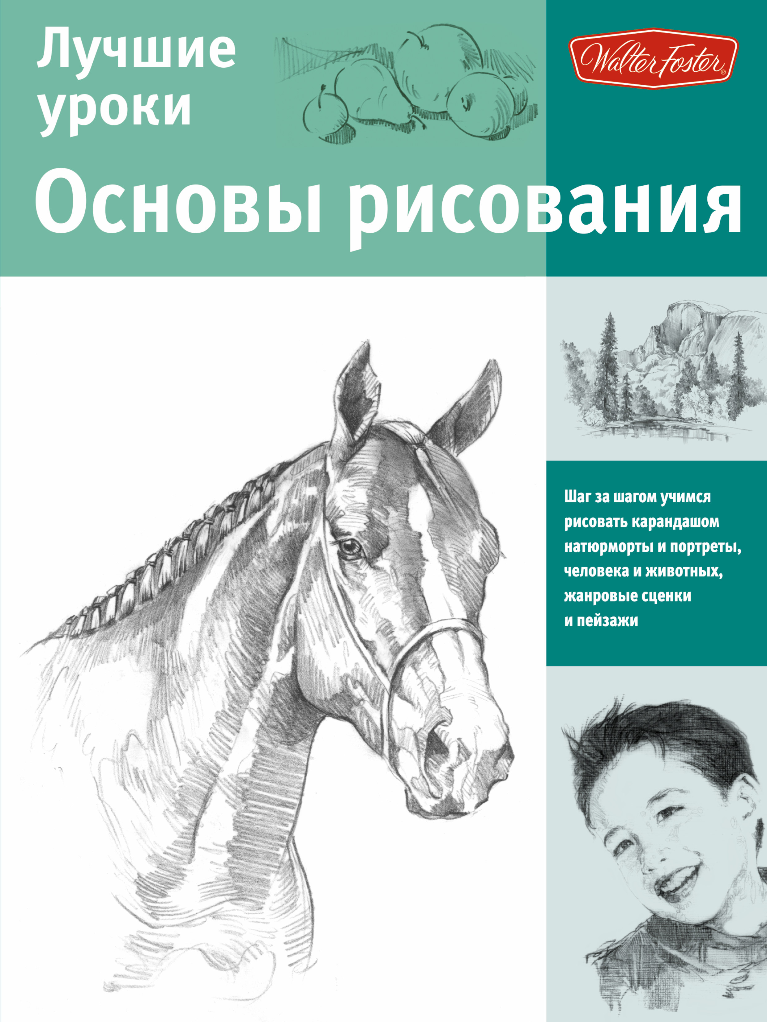 Книги по рисованию. Основы рисования. Книга для рисования. Книги по рисованию человека.