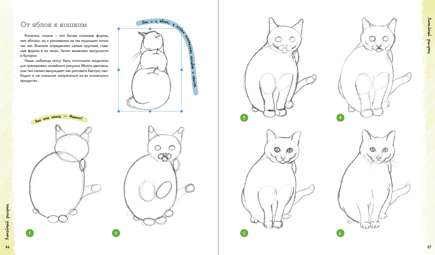 Как нарисовать развитие кота