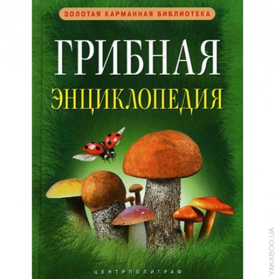 Детская книга про грибы с картинками