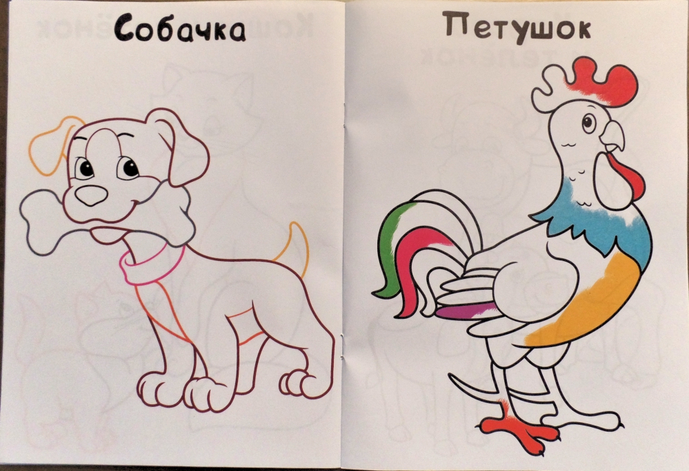 Картинка петух и собака. Рисунок к сказке петух и собака. Рисуем петушка и собаку. Петух Ри собака рисунок. Петух и собака как раскрасить.