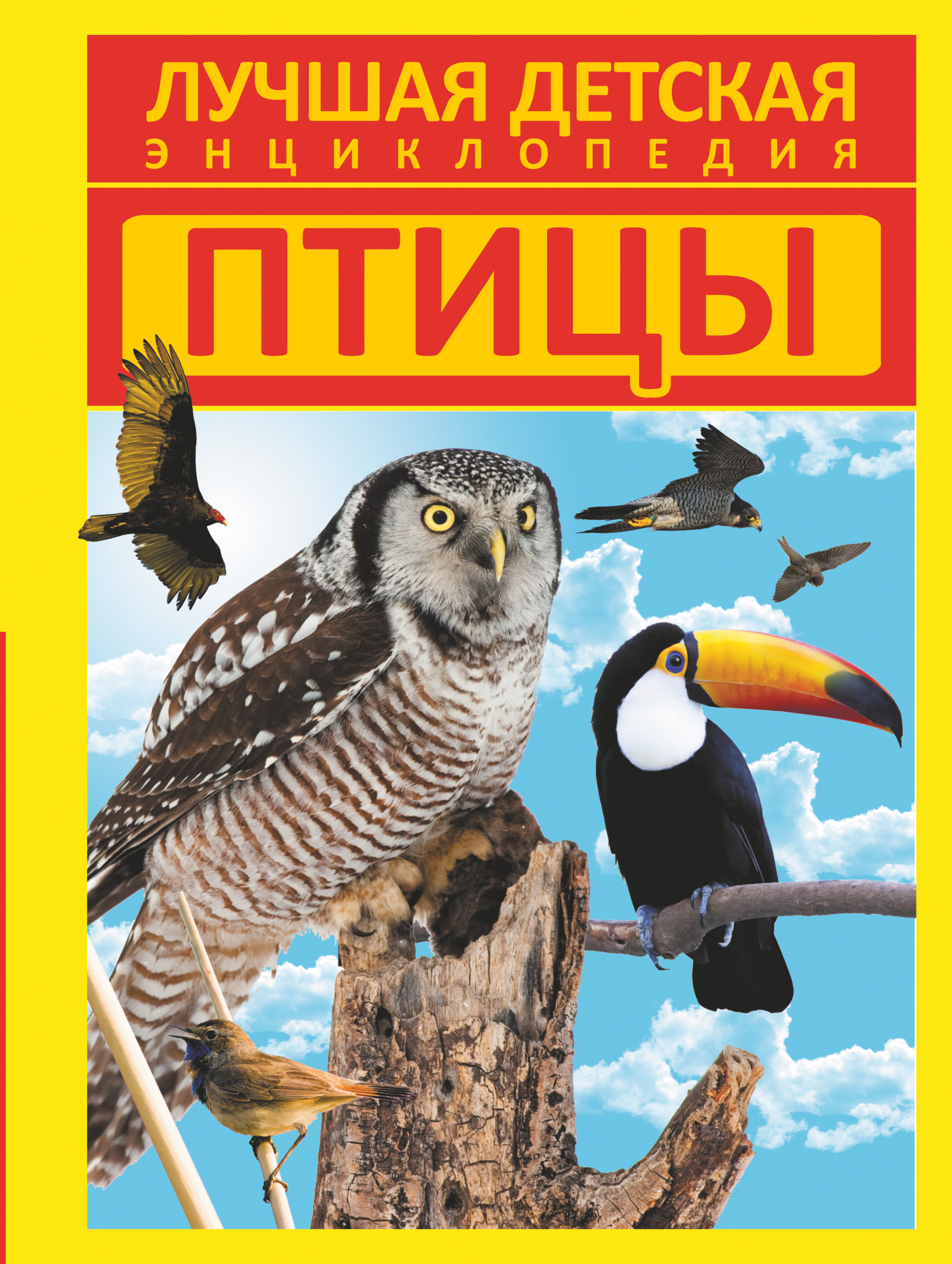 Книги о птицах. Книги о птицах для детей. Птицы энциклопедия для детей. Обложка птицы.