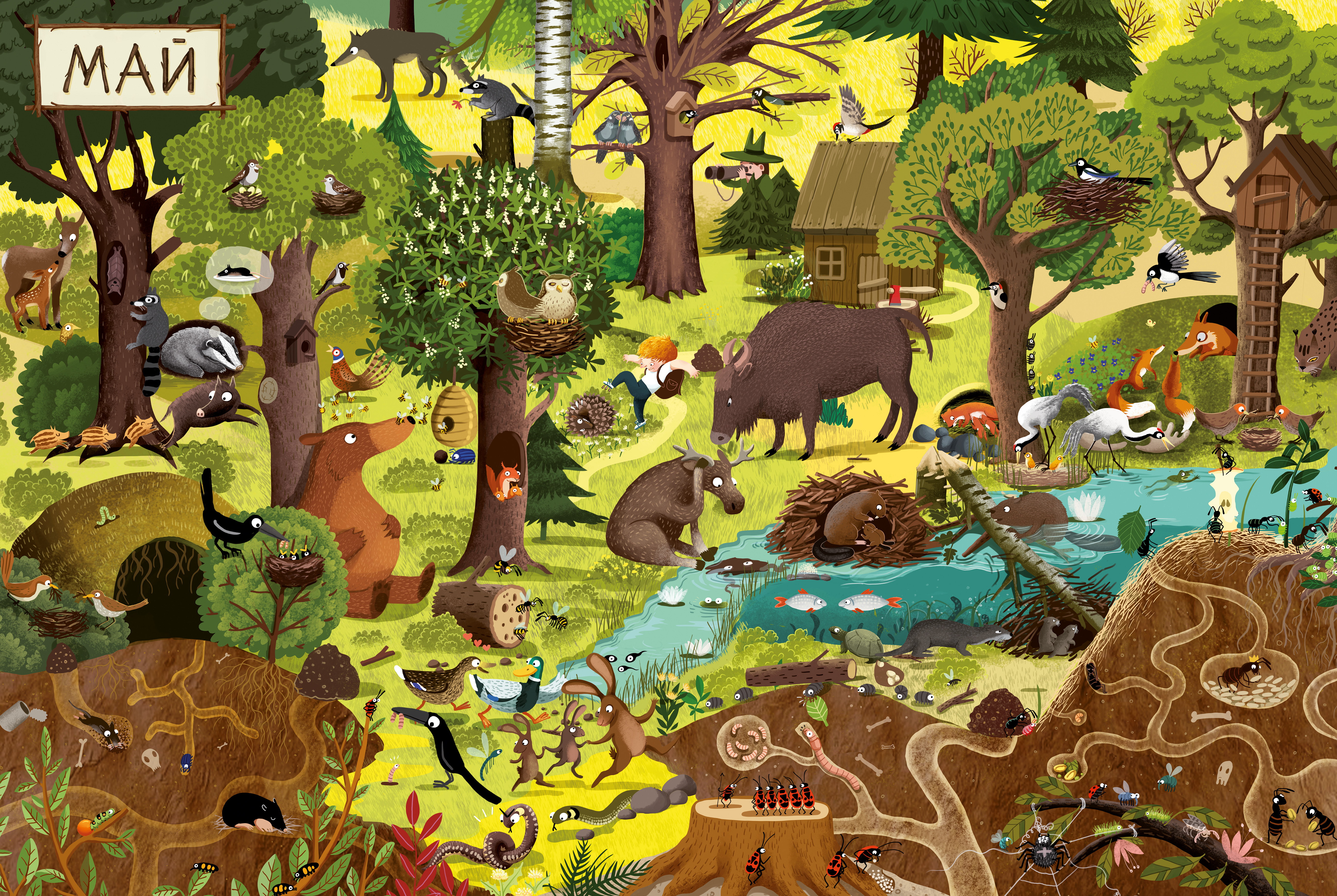 Найди всех животных на картинке 165 уровень. Дзюбак э. "год в лесу". Виммельбух лес.