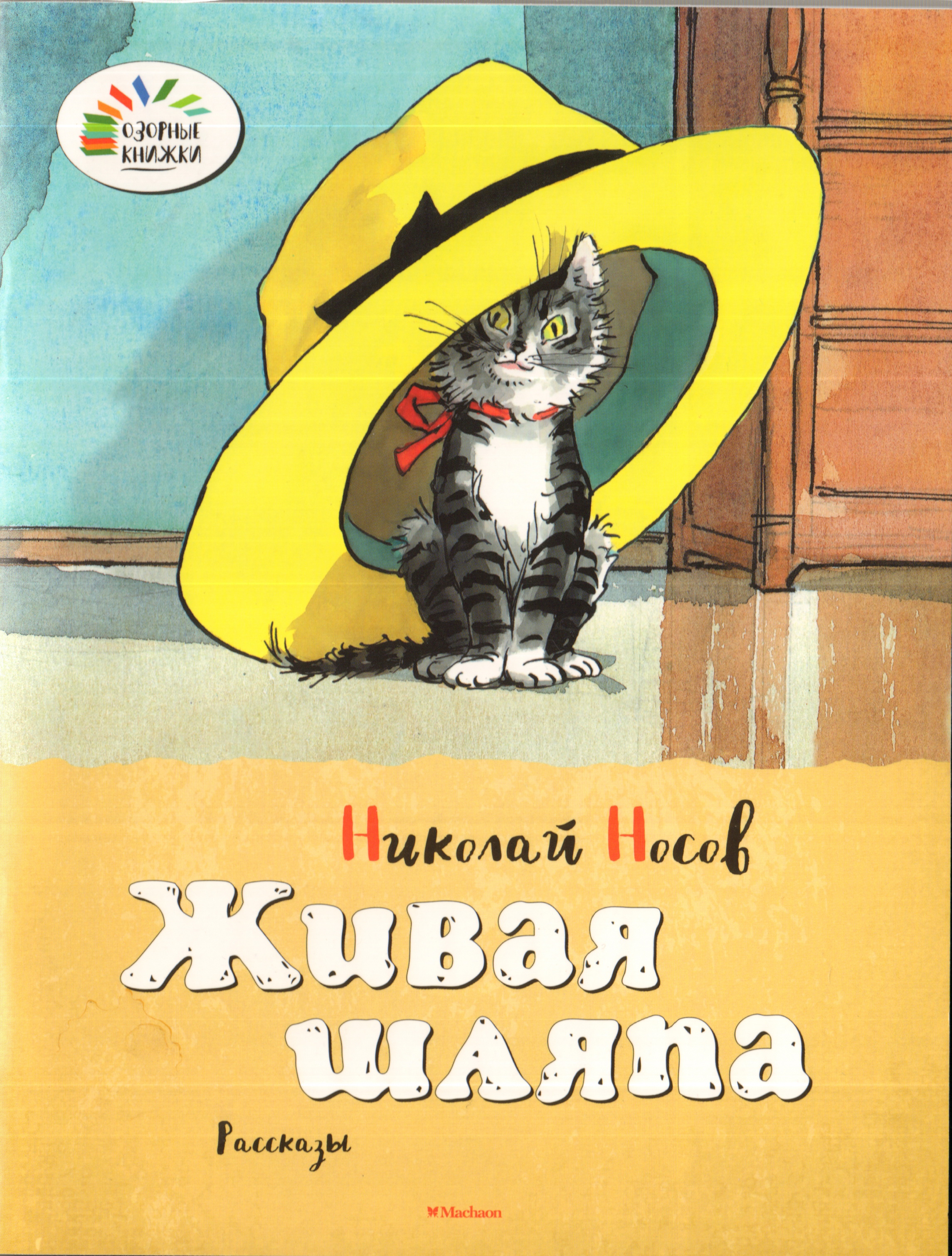 Книга шляпа