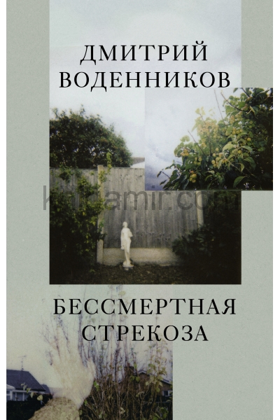 обложка Бессмертная стрекоза от интернет-магазина Книгамир