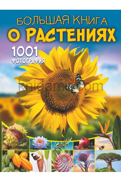 обложка Большая книга о растениях. 1001 фотография от интернет-магазина Книгамир