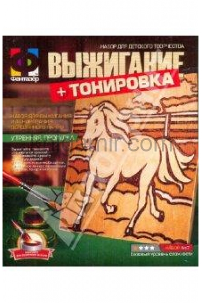 обложка 367007 Выжигание Лошадь от интернет-магазина Книгамир