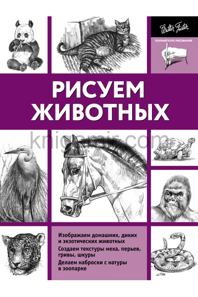 обложка Рисуем животных от интернет-магазина Книгамир
