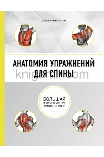 обложка Анатомия упражнений для спины (2-е изд.) от интернет-магазина Книгамир