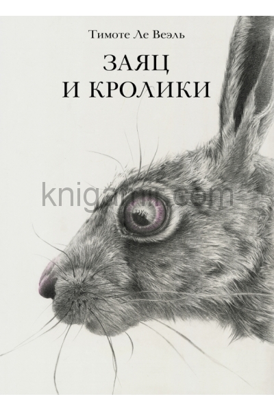 обложка П.Заяц и кролики от интернет-магазина Книгамир