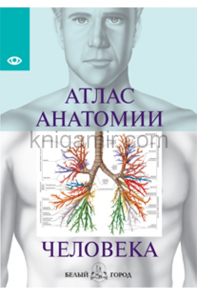 обложка Атлас анатомии человека. Все органы человеческого тела от интернет-магазина Книгамир
