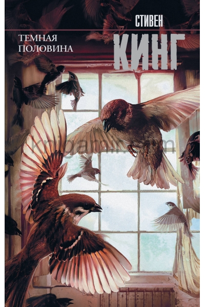 обложка Темная половина (новый перевод) от интернет-магазина Книгамир