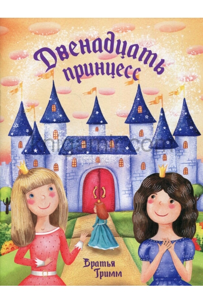 обложка Двенадцать принцесс от интернет-магазина Книгамир