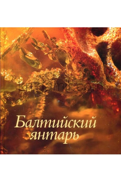 обложка Балтийский янтарь от интернет-магазина Книгамир
