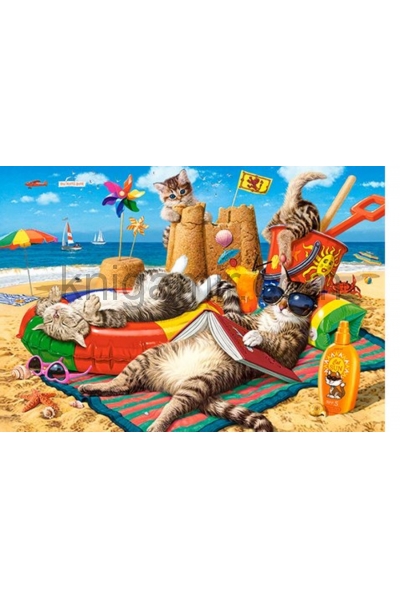 обложка Puzzle-1000 C-104772 Кошачий пляж от интернет-магазина Книгамир