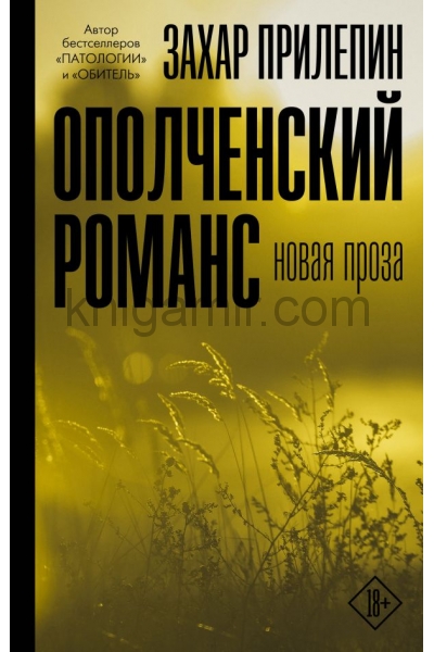 обложка Ополченский романс от интернет-магазина Книгамир