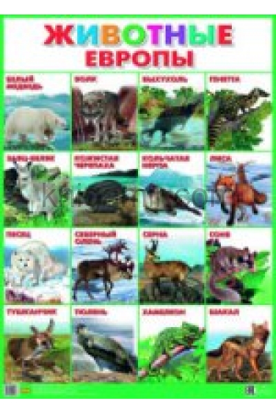 обложка Плакат "Животные Европы" (550х770) от интернет-магазина Книгамир