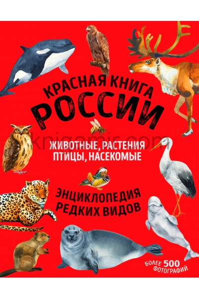 обложка Красная книга России. Млекопитающие, птицы, рептилии, амфибии, рыбы, насекомые от интернет-магазина Книгамир