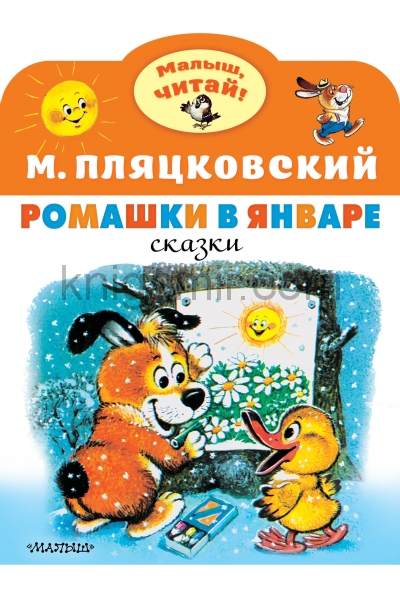 обложка Ромашки в январе от интернет-магазина Книгамир