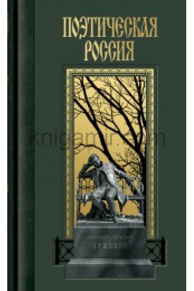 обложка Пушкин от интернет-магазина Книгамир