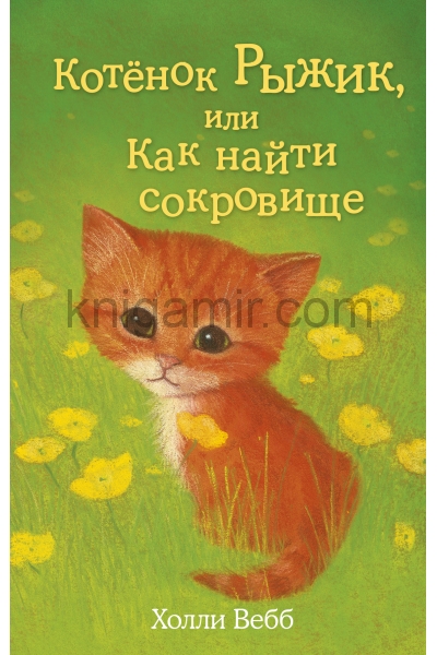 обложка Котёнок Рыжик, или Как найти сокровище (выпуск 13) от интернет-магазина Книгамир