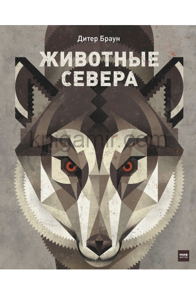 обложка Животные Севера от интернет-магазина Книгамир