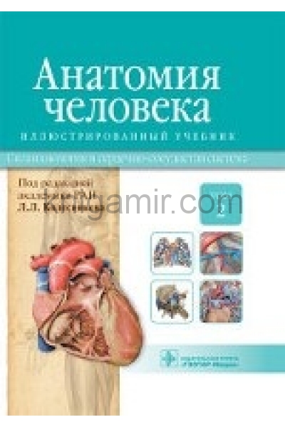 обложка Анатомия человека.Т.2-Спланхнология и сердечно-сосудистая система.Учебник в 3 томах от интернет-магазина Книгамир
