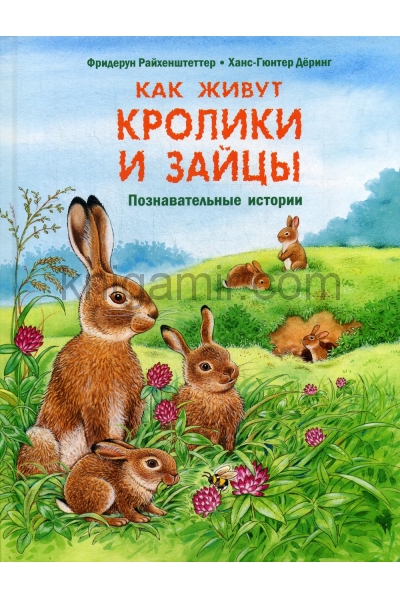 обложка Как живут кролики и зайцы. Познавательные истории (ожидается поступление) от интернет-магазина Книгамир