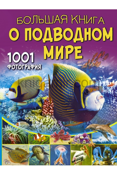 обложка Большая книга о подводном мире. 1001 фотография от интернет-магазина Книгамир
