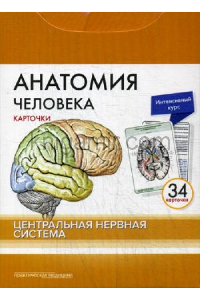 обложка Анатомия человека: карточки. (34 шт). Центральная нервная система от интернет-магазина Книгамир