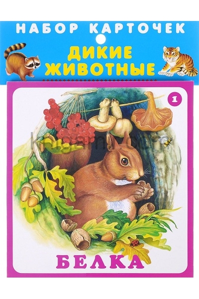 обложка Дикие животные (20 карточек  с европодвесом) от интернет-магазина Книгамир