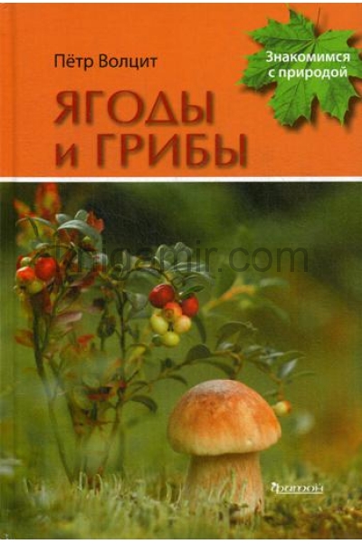 обложка Ягоды и грибы от интернет-магазина Книгамир