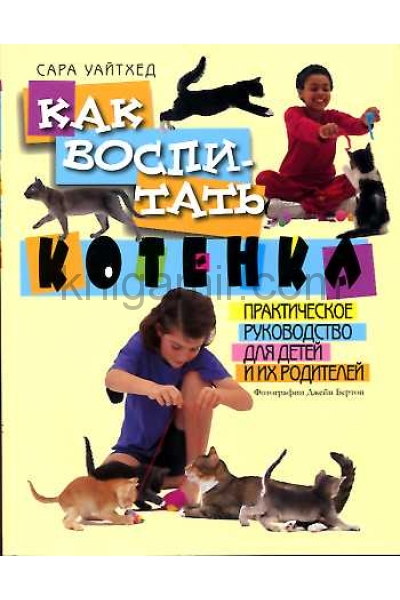 обложка Как воспитать котенка от интернет-магазина Книгамир